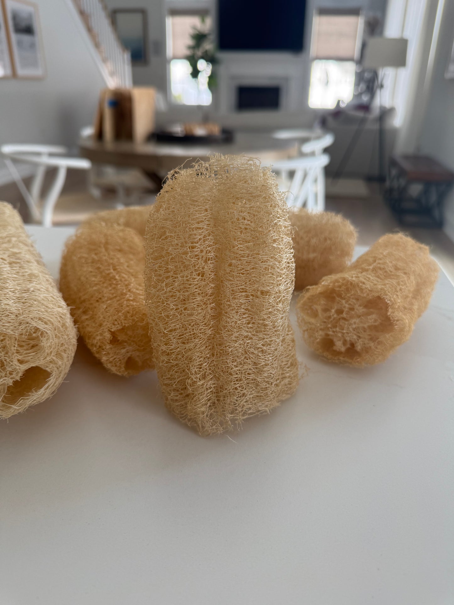 Jumbo Loofah