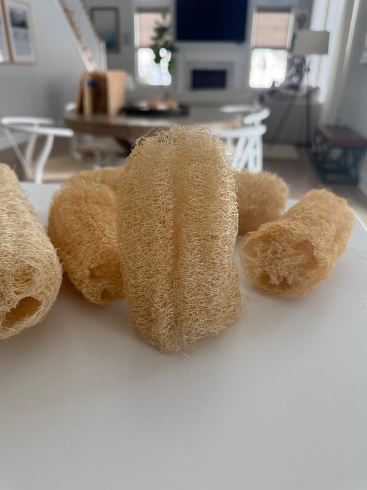 Jumbo Loofah