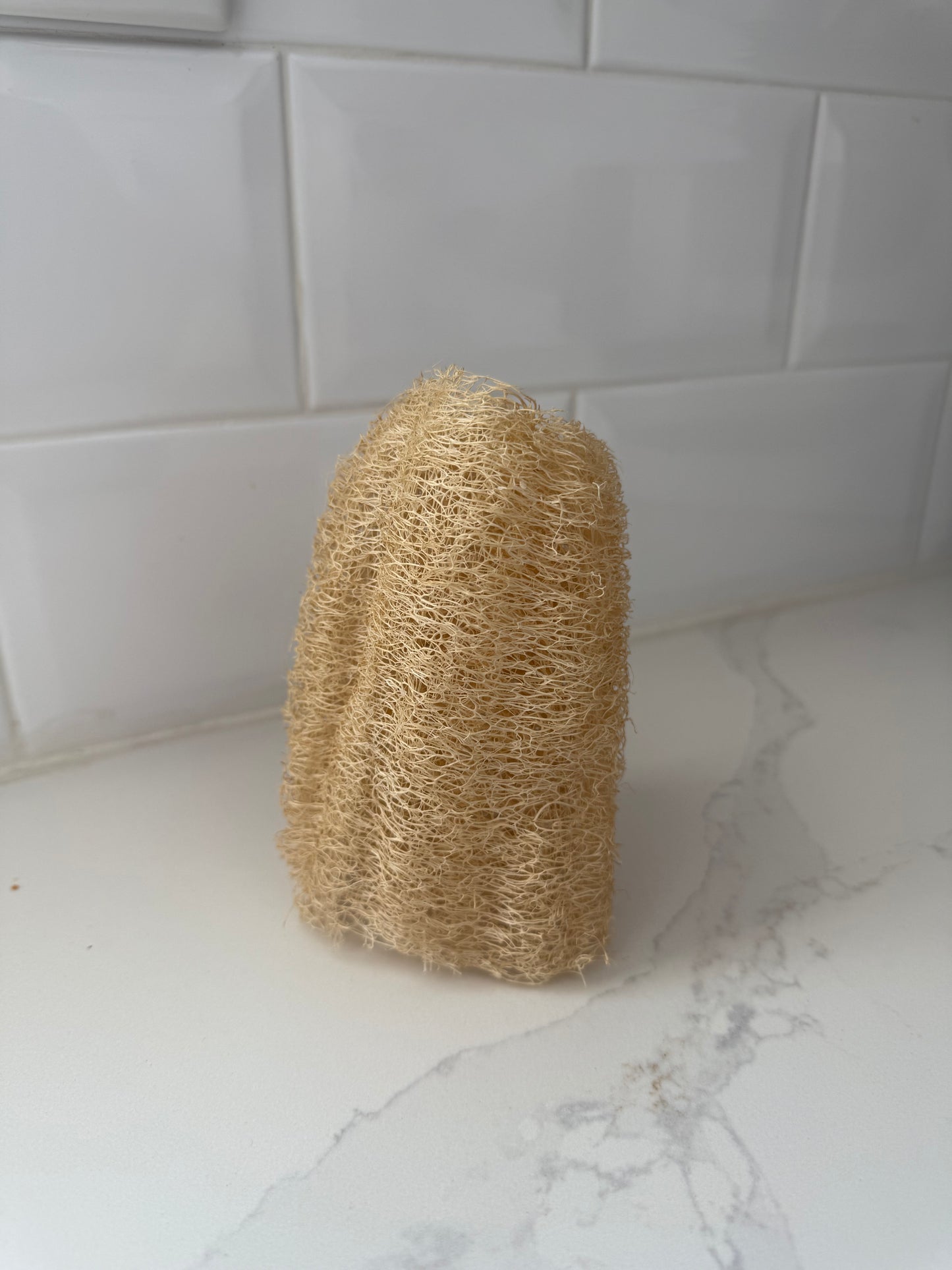 Jumbo Loofah