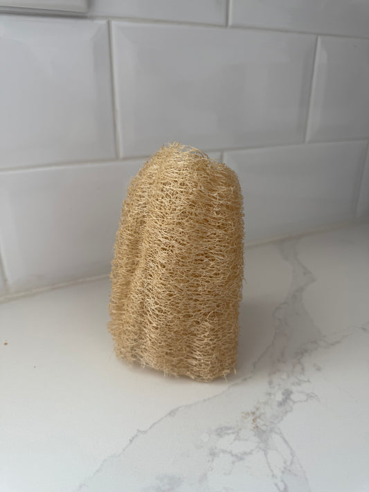 Jumbo Loofah